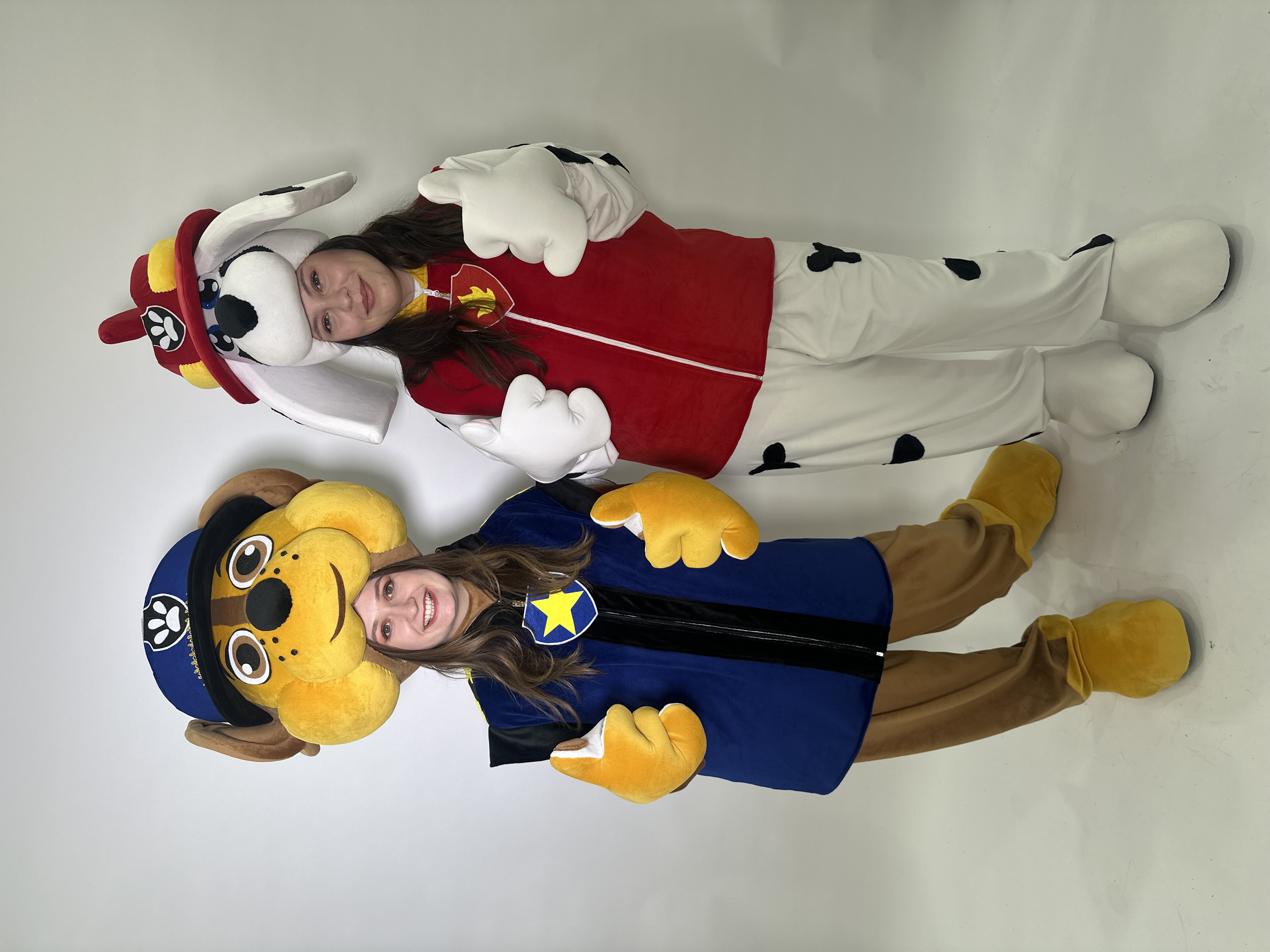 Cenusareasa - printesa Disney